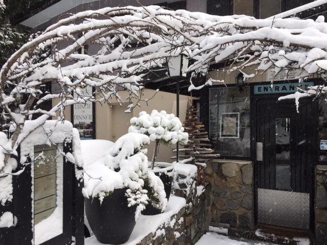 Black Bear Inn Thredbo Exterior foto